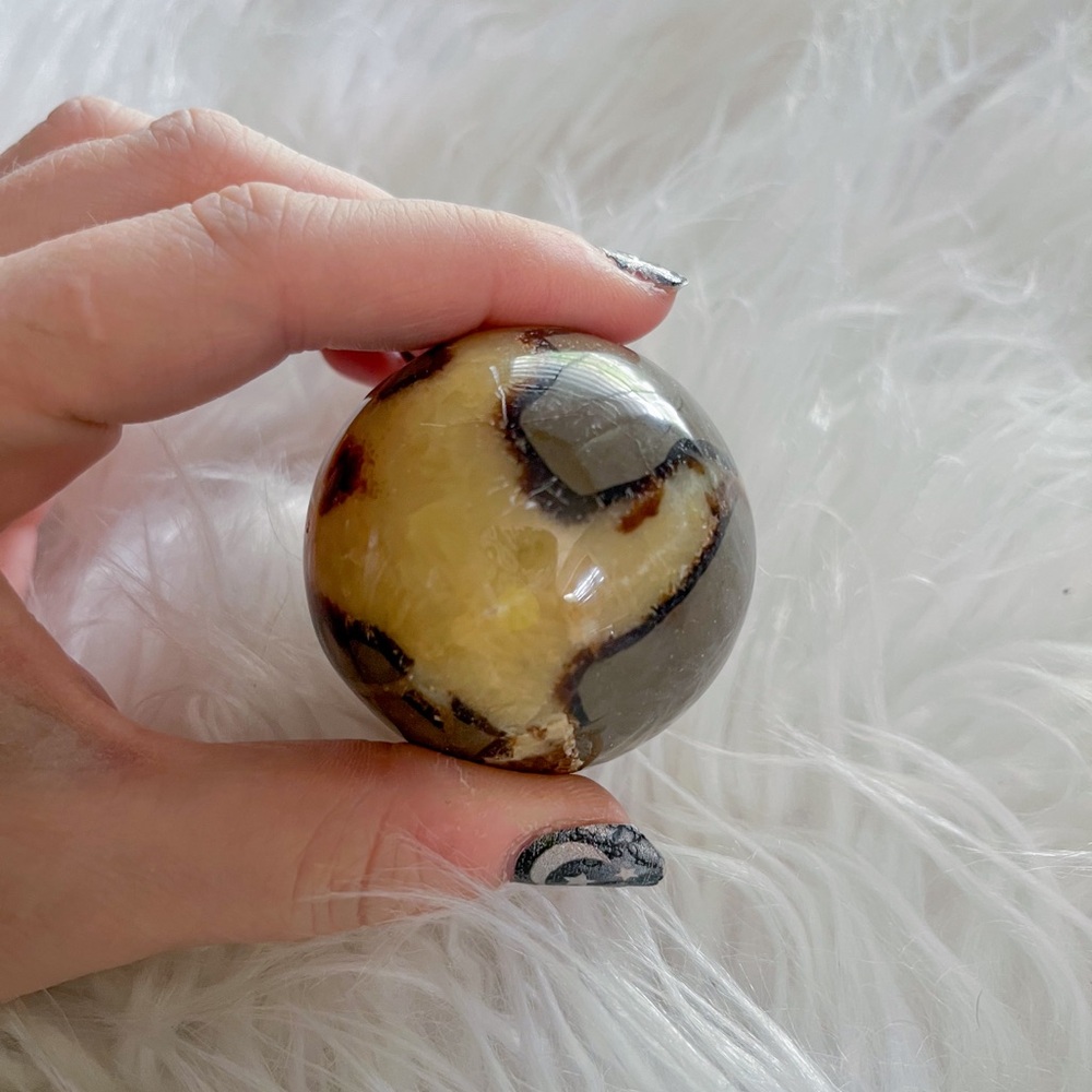 Septarian sphere